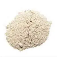 Natural Zeolites