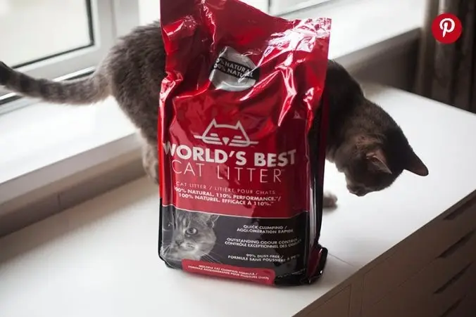 High Quality Bentonite Cat Litters