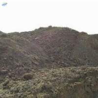 Cow dung