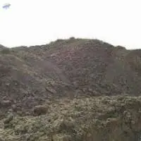 Cow dung