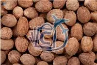 Nutmeg