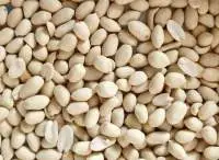 PEANUT