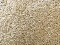 Sesame Seed