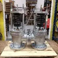Safety Relief Valve