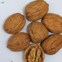Walnut Kernels
