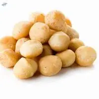 Roasted Macadamia Nuts