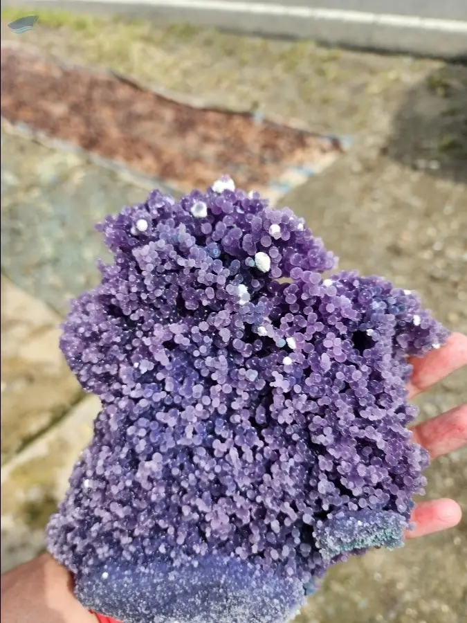 Grape Agate Grade A