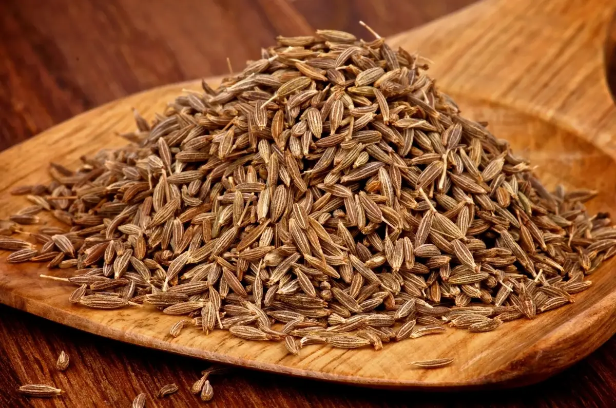 Cumin Powder