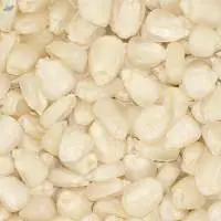 White Corn