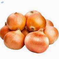 Yellow Onion