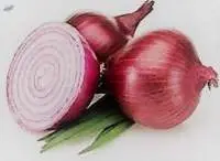 Red Onion