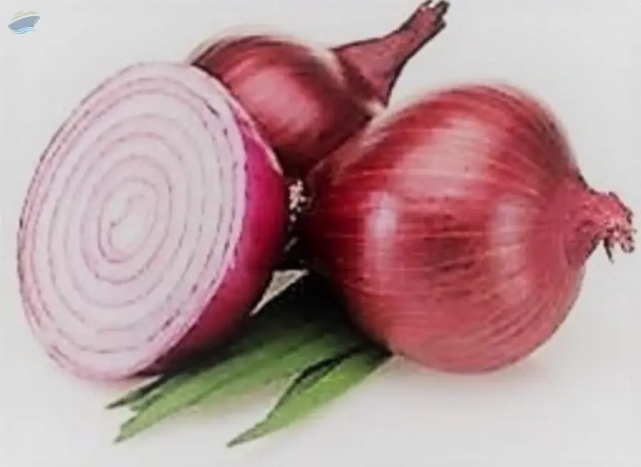 Red Onion