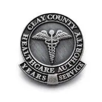 Nursing Pins