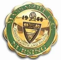 Nursing Pins