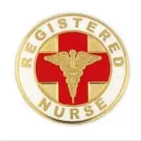 Nursing Pins