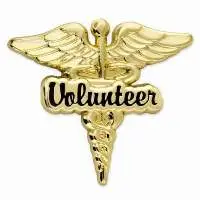 Nursing Pins