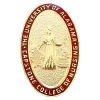 Nursing Pins
