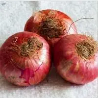 Red Onion