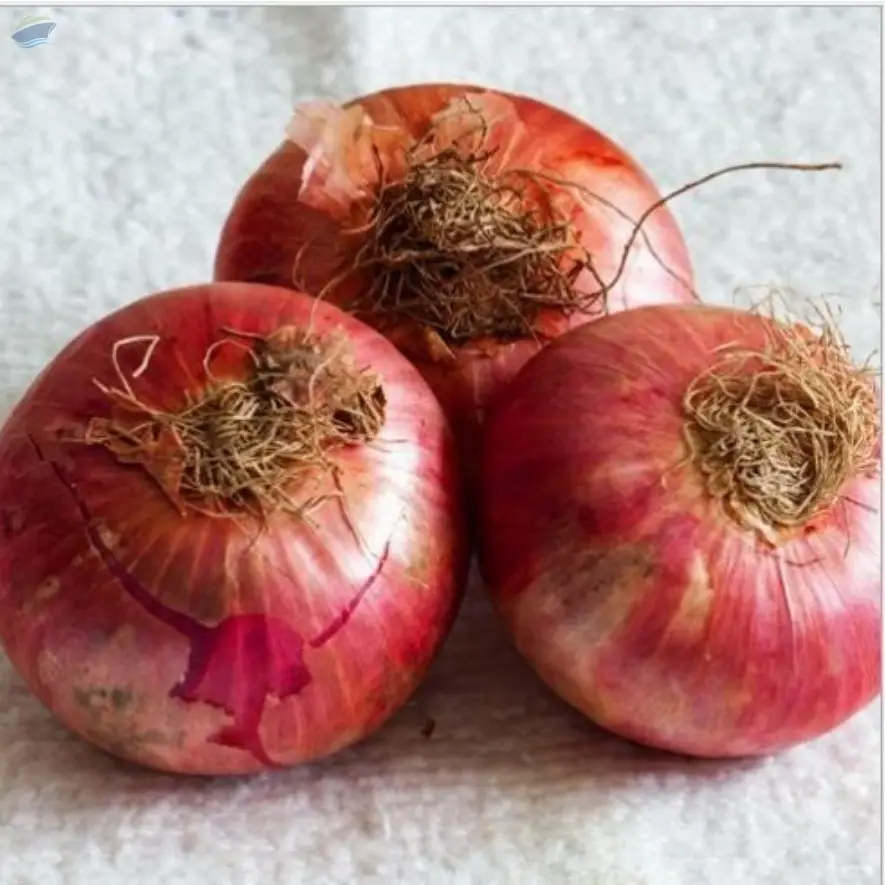 Red Onion