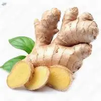 Ginger