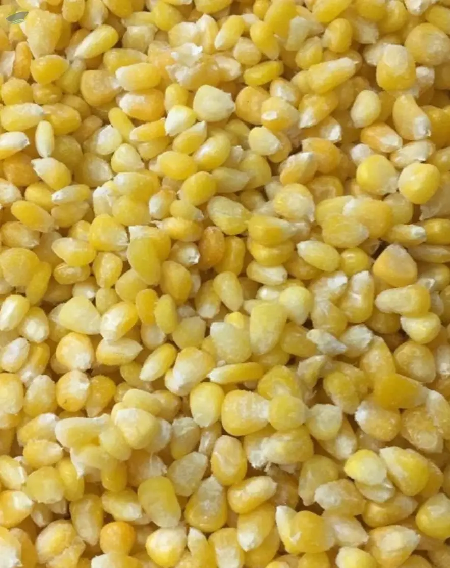 Frozen Corn Kernels