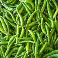 Green Chilli