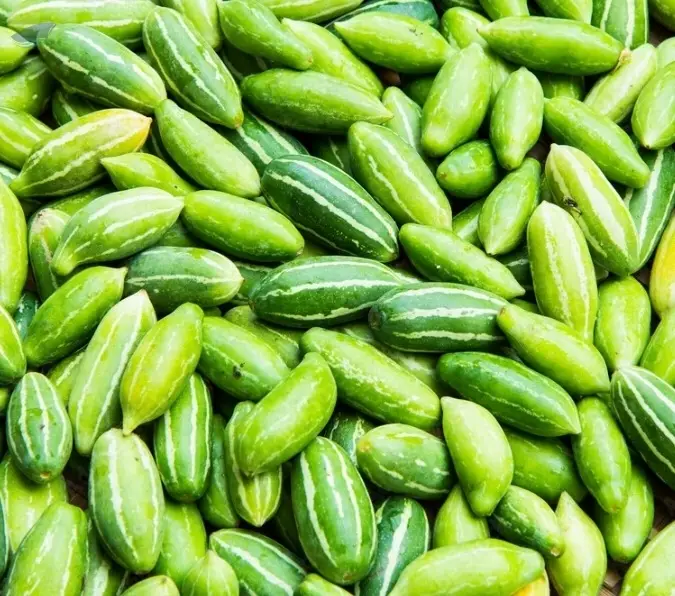 Ivy Gourd