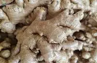 Ginger