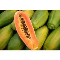 Papaya