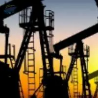 Petrochemical