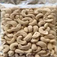 Raw Cashew Nuts / CASHEW NUTS