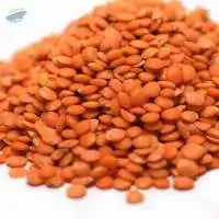 Quality Red Lentils