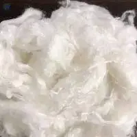 Grade A 100% Organic Raw Cotton