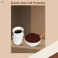 Dates Kernel Powder