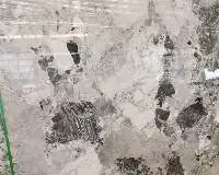 Panda White Marble