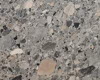 Fossil Marble
