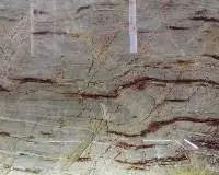 Green Marble With Red Root