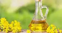 Canola Oil