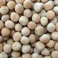Dried White Peas
