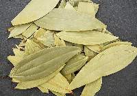 Bay Leaf