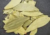 Bay Leaf