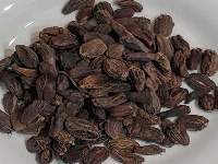 Black Cardamom