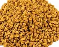 Fenugreek
