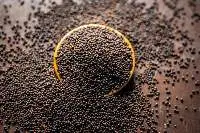 Mustard Seeds