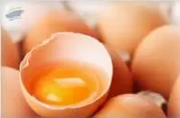 Fresh Chicken Eggs