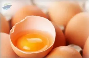 Fresh Chicken Eggs