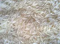 1509 Basmati Steam