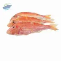 Trisi Snapper