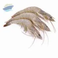 Vannamei Shrimp