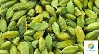 Cardamom